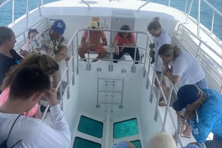 Transparensea Glass Bottom Boat Tours — photo 3