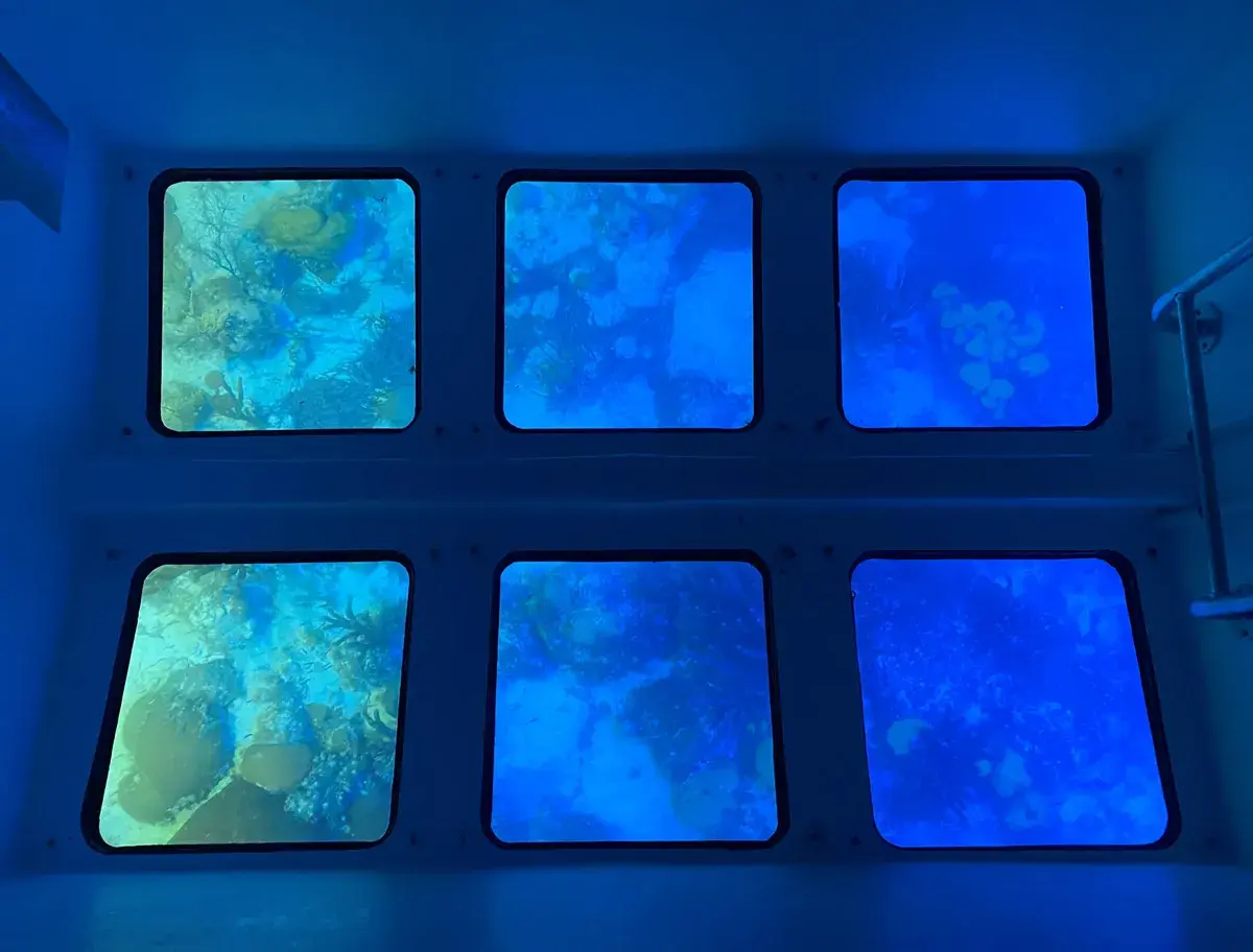 Transparensea Glass Bottom Boat Tours — photo 2