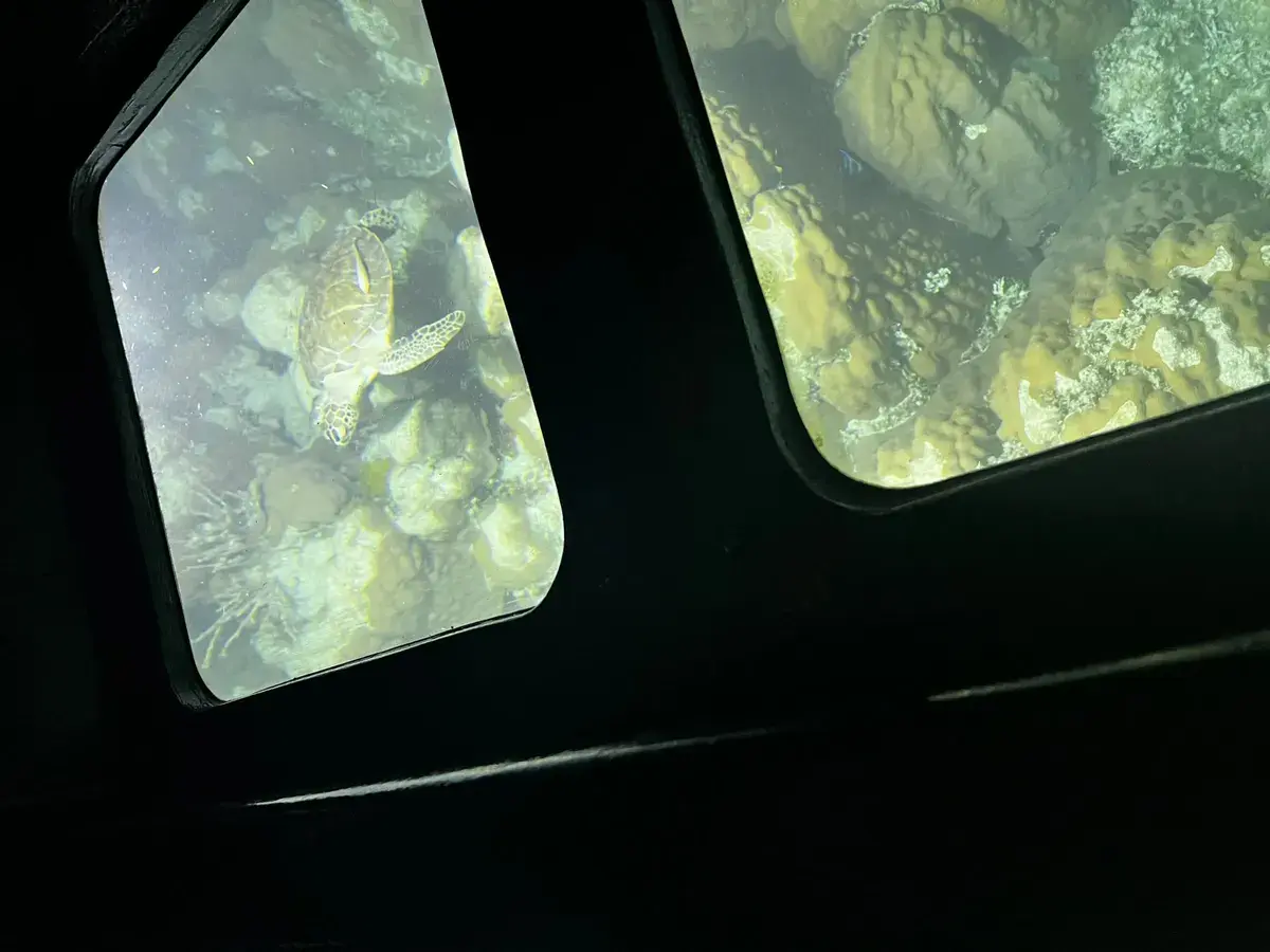 Transparensea Glass Bottom Boat Tours — photo 1